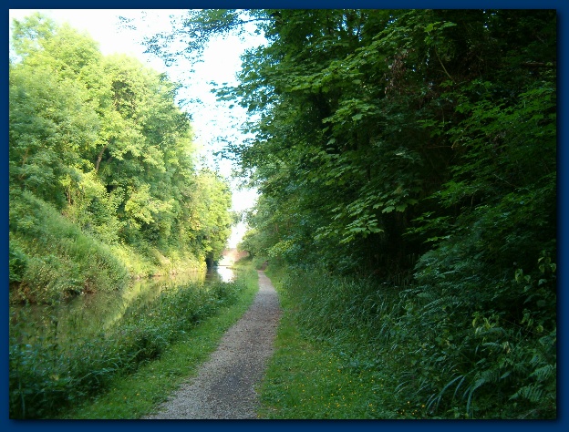 600x449 pixels (181K)